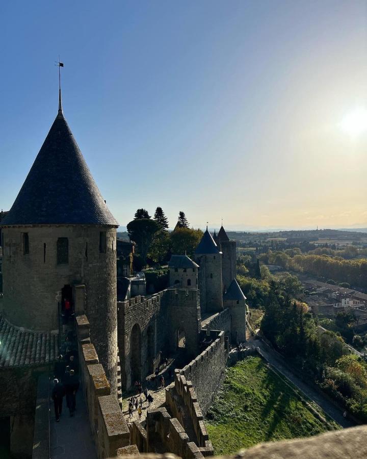 Le Reve Bleu Appartement Hyper-Centre Carcassonne Bagian luar foto