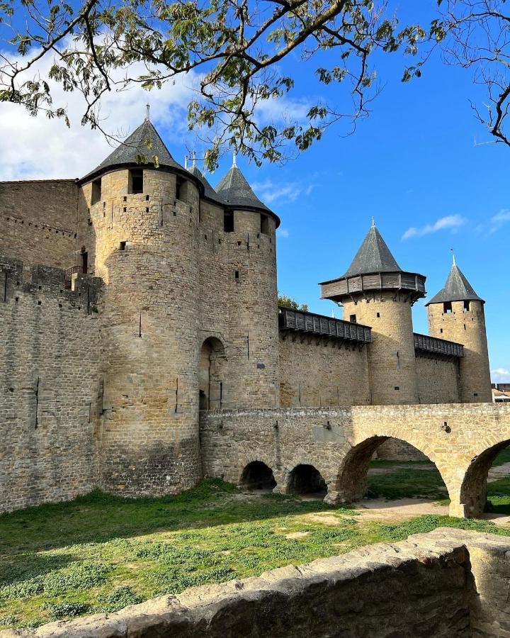 Le Reve Bleu Appartement Hyper-Centre Carcassonne Bagian luar foto